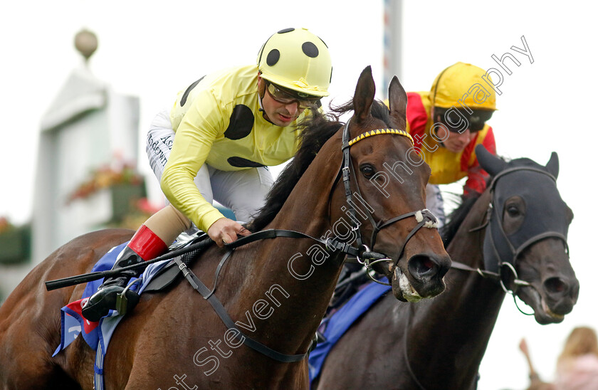 Without-A-Fight-0007 
 WITHOUT A FIGHT (Andrea Atzeni) wins The Sky Bet Grand Cup
York 11 Jun 2022 - Pic Steven Cargill / Racingfotos.com