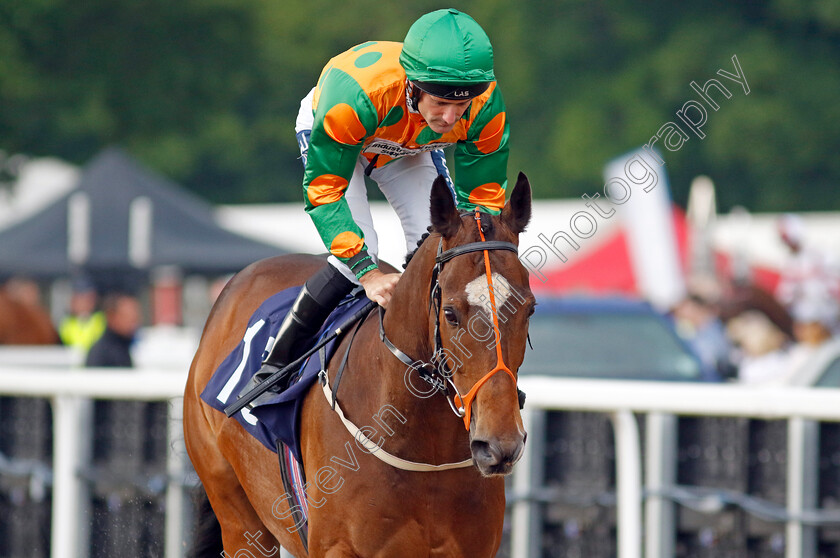 Saluti-0002 
 SALUTI (Paul Mulrennan)
Newcastle 24 Jun 2022 - Pic Steven Cargill / Racingfotos.com