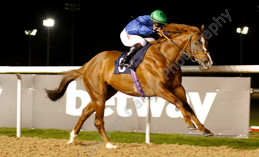 Hathal-0006 
 HATHAL (Nicola Currie) wins The Betway Conditions Stakes
Wolverhampton 7 Jan 2019 - Pic Steven Cargill / Racingfotos.com