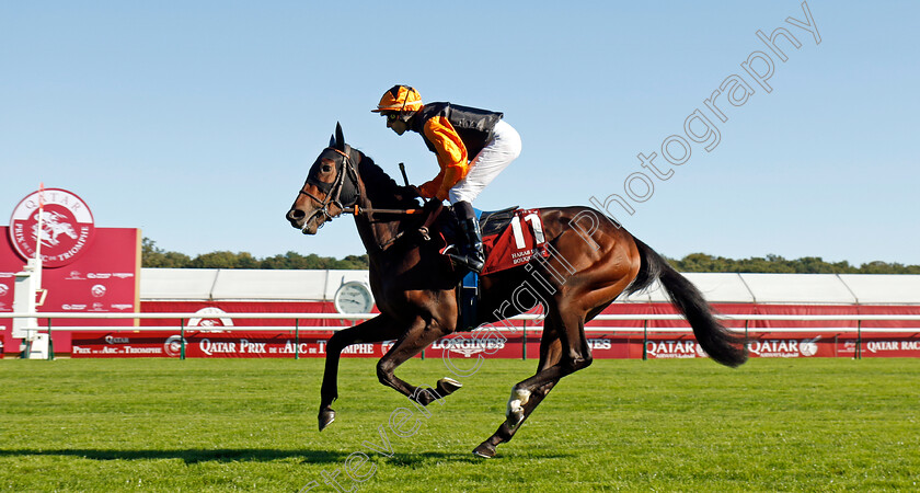 Relaxx-0001 
 RELAXX (Ronan Thomas)
Longchamp 5 Oct 2024 - Pic Steven Cargill / Racingfotos.com