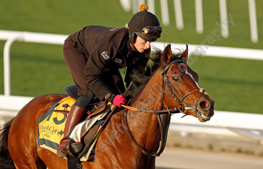 The-Foxes-0001 
 THE FOXES training for The Neom Turf Cup
King Abdulaziz Racecourse, Saudi Arabia 20 Feb 2024 - Pic Steven Cargill / Racingfotos.com