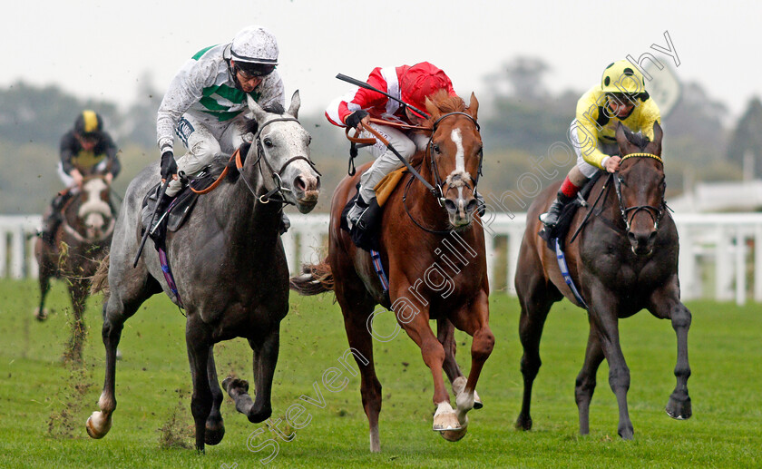 Berkshire-Rocco-0004 
 BERKSHIRE ROCCO (centre, Oisin Murphy) beats ALBAFLORA (left) in The Teentech Noel Murless Stakes
Ascot 2 Oct 2020 - Pic Steven Cargill / Racingfotos.com