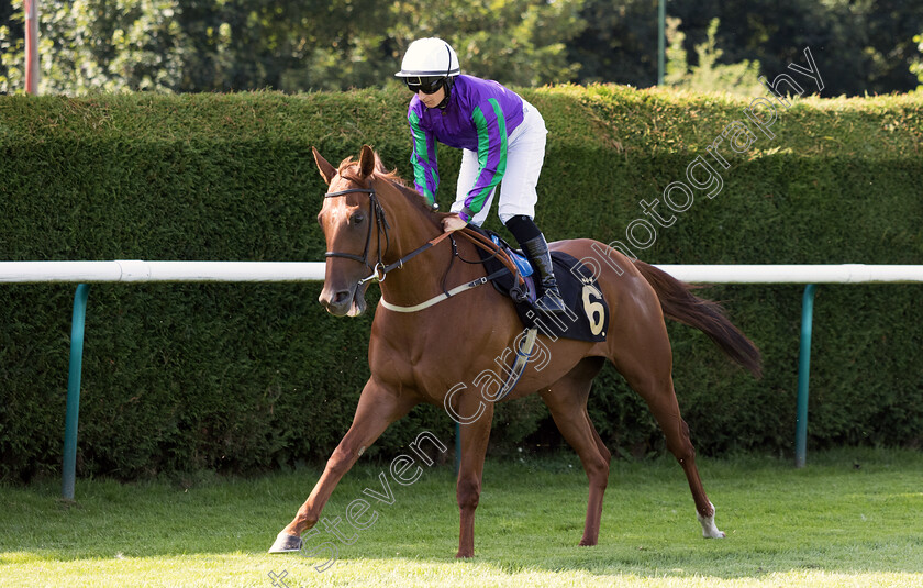 Sievier-0001 
 SIEVIER (Nicola Currie)
Nottingham 19 Jul 2024 - Pic Steven Cargill / Megan Dent / Racingfotos.com