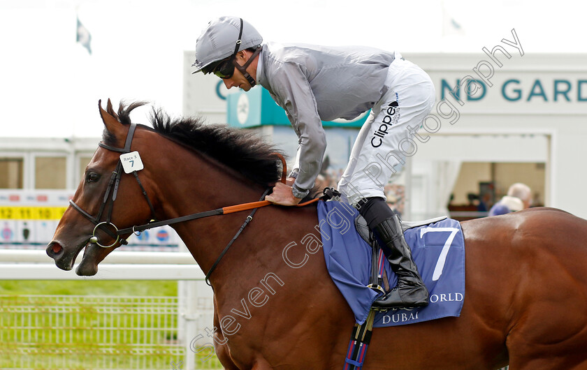 King s-Gamble-0001 
 KING'S GAMBLE (Daniel Tudhope)
York 25 Aug 2023 - Pic Steven Cargill / Racingfotos.com