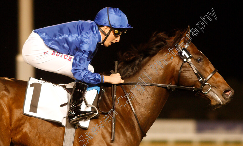 Blue-Point-0010 
 BLUE POINT (William Buick) wins The Meydan Sprint
Meydan 14 Feb 2019 - Pic Steven Cargill / Racingfotos.com