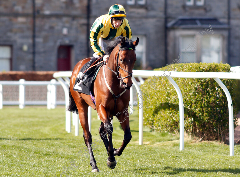 Baileys-Freedom-0002 
 BAILEYS FREEDOM (Edward Greatrex)
Musselburgh 2 Apr 2019 - Pic Steven Cargill / Racingfotos.com