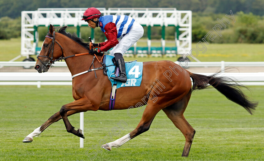 Insanity-0001 
 INSANITY (Sean Levey)
Ascot 26 Jul 2024 - Pic Steven Cargill / Racingfotos.com