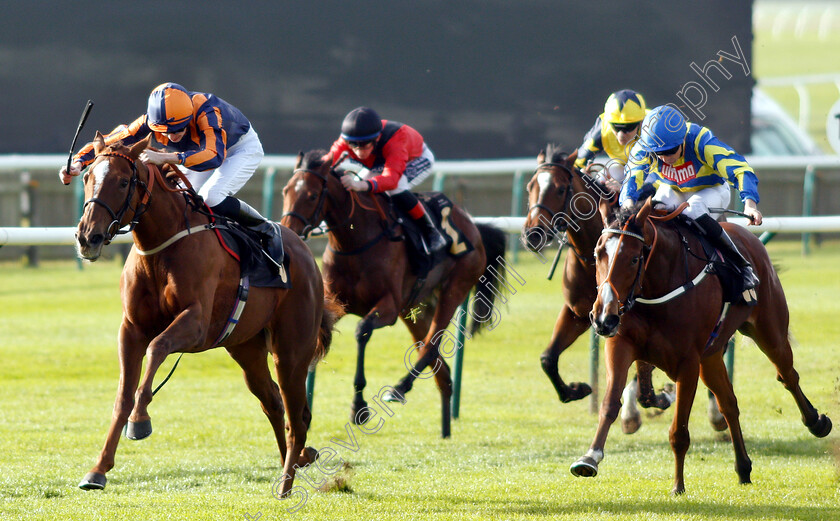 Garrel-Glen-0002 
 GARREL GLEN (Louis Steward) beats TRONADA (right) in The Shepherd Compello & EPG Fillies Novice Median Auction Stakes Div2
Newmarket 24 Oct 2018 - Pic Steven Cargill / Racingfotos.com