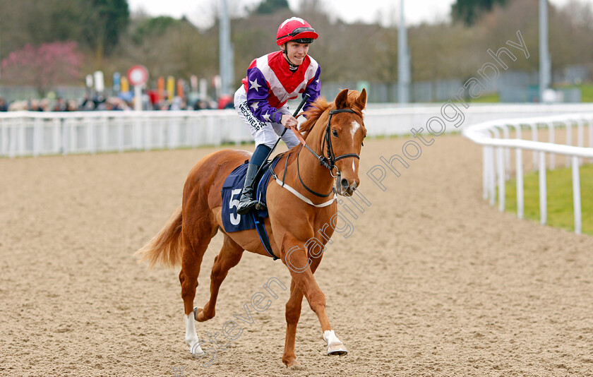 Havana-Vision-0001 
 HAVANA VISION (Phil Dennis)
Wolverhampton 12 Mar 2022 - Pic Steven Cargill / Racingfotos.com