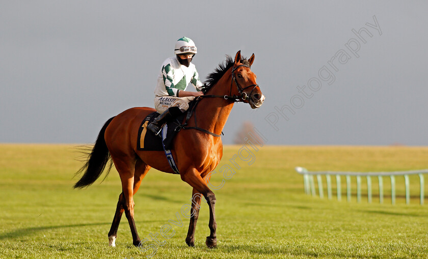 Epic-Hero-0001 
 EPIC HERO (Ryan Moore)
Newmarket 31 Oct 2020 - Pic Steven Cargill / Racingfotos.com