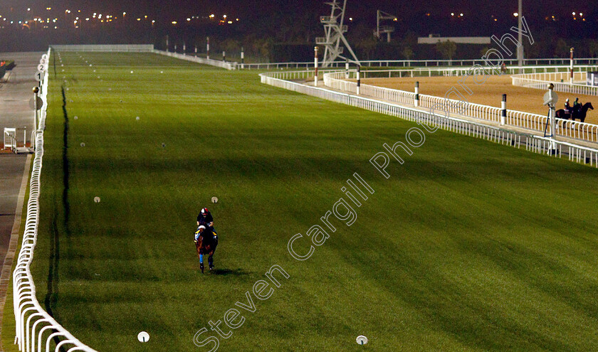 Almond-Eye-0001 
 ALMOND EYE training for the Dubai Turf
Meydan 27 Mar 2019 - Pic Steven Cargill / Racingfotos.com