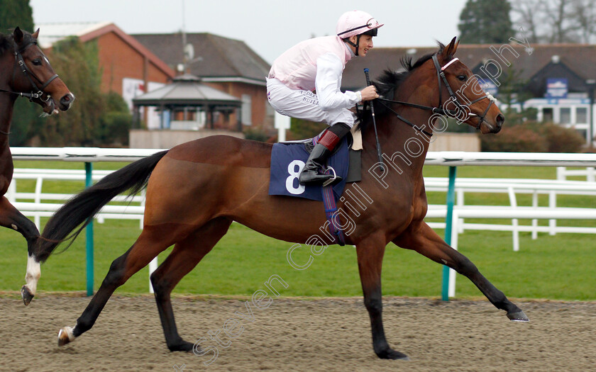 Queen-And-Country-0001 
 QUEEN AND COUNTRY (George Wood)
Lingfield 20 Nov 2018 - Pic Steven Cargill / Racingfotos.com