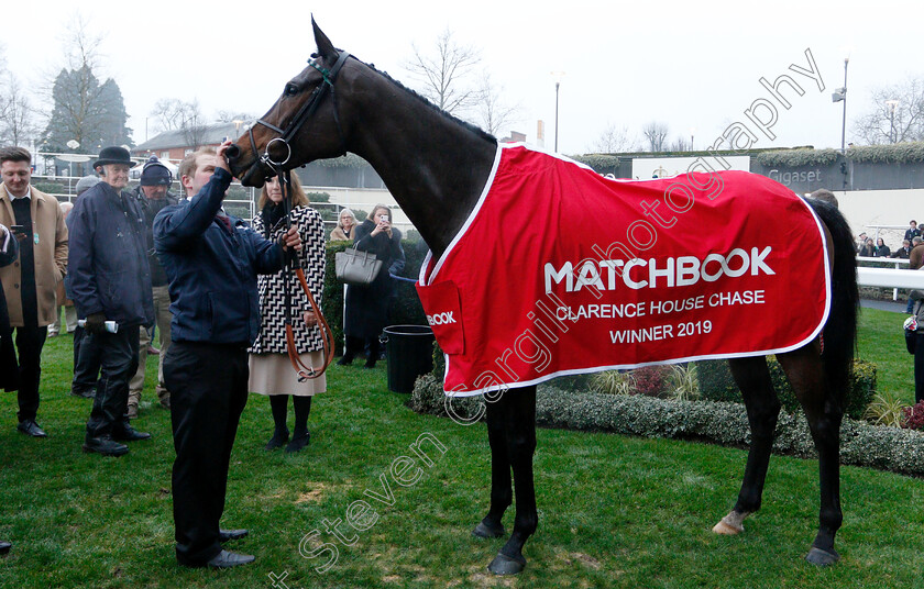 Altior-0013 
 ALTIOR after The Matchbook Clarence House Chase
Ascot 19 Jan 2019 - Pic Steven Cargill / Racingfotos.com