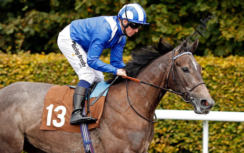 Shurooq-0001 
 SHUROOQ (Jim Crowley) Kempton 25 Sep 2017 - Pic Steven Cargill / Racingfotos.com