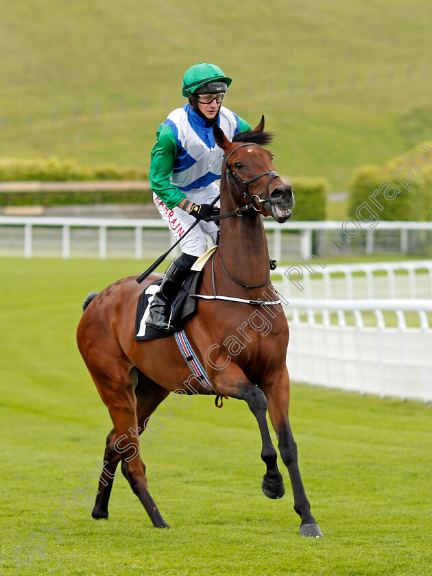 Ready-To-Venture-0001 
 READY TO VENTURE (Tom Marquand)
Goodwood 21 May 2021 - Pic Steven Cargill / Racingfotos.com