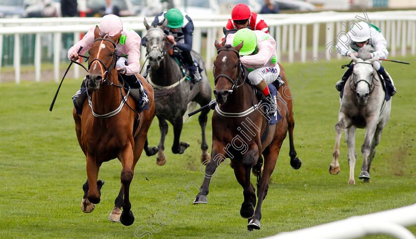 Thomas-Hobson-0004 
 THOMAS HOBSON (left, Ryan Moore) beats MAX DYNAMITE (right) in The Doncaster Cup Stakes
Doncaster 14 Sep 2018 - Pic Steven Cargill / Racingfotos.com