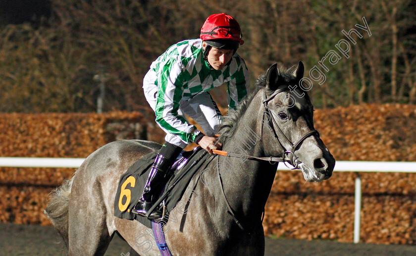 Paxos-0001 
 PAXOS (Luke Morris)
Kempton 19 Feb 2020 - Pic Steven Cargill / Racingfotos.com