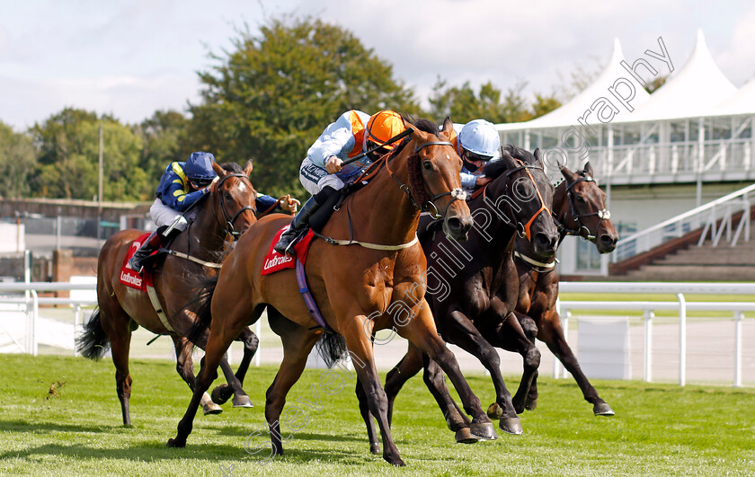 Cold-Stare-0003 
 COLD STARE (Harry Bentley) wins The Brian Chattaway Celebrating 50 Years At Ladbrokes Handicap
Goodwood 29 Aug 2020 - Pic Steven Cargill / Racingfotos.com