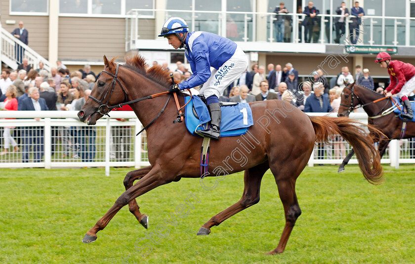 Laatansa-0001 
 LAATANSA (Jim Crowley)
Salisbury 2 Sep 2021 - Pic Steven Cargill / Racingfotos.com