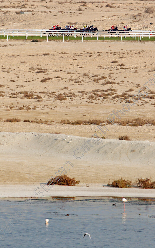 Bahrain-0004 
 Racing down the back straight
Sakhir Racecourse, Bahrain 19 Nov 2021 - Pic Steven Cargill / Racingfotos.co