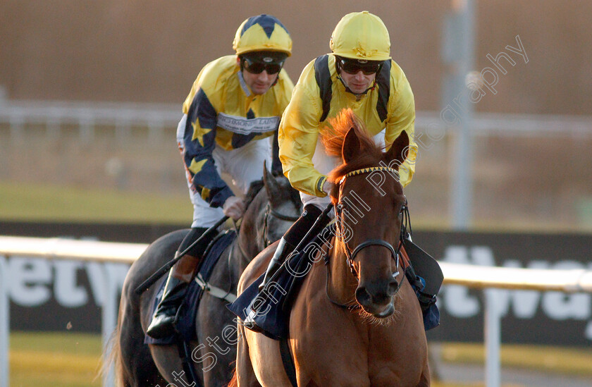 Nehaall-0002 
 NEHAALL (Jack Mitchell) winner of The Ladbrokes Fillies Novice Stakes
Wolverhampton 3 Jan 2020 - Pic Steven Cargill / Racingfotos.com