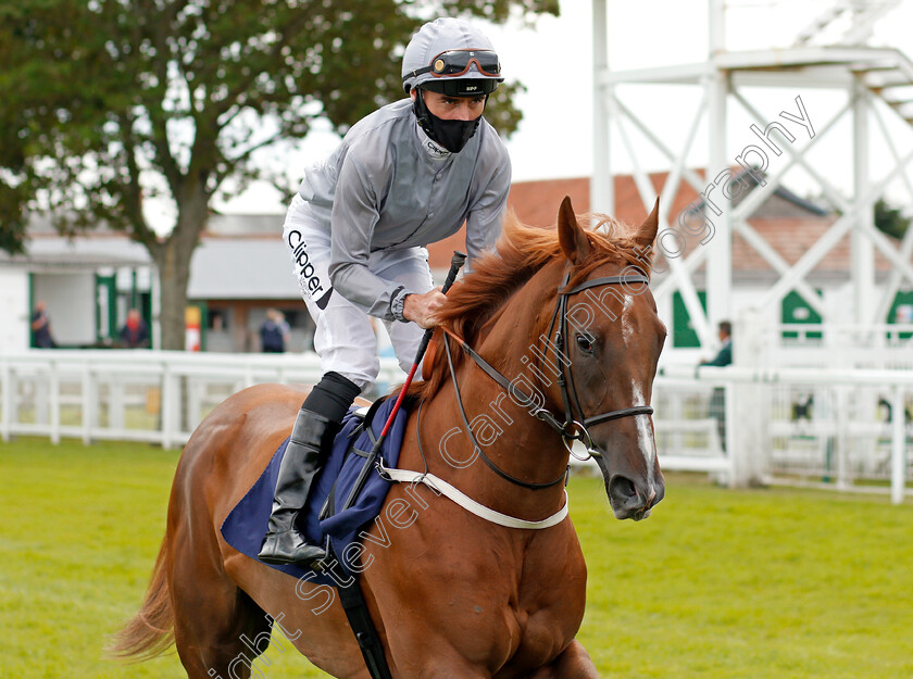 Spring-Campaign-0001 
 SPRING CAMPAIGN (Daniel Tudhope)
Yarmouth 22 Jul 2020 - Pic Steven Cargill / Racingfotos.com