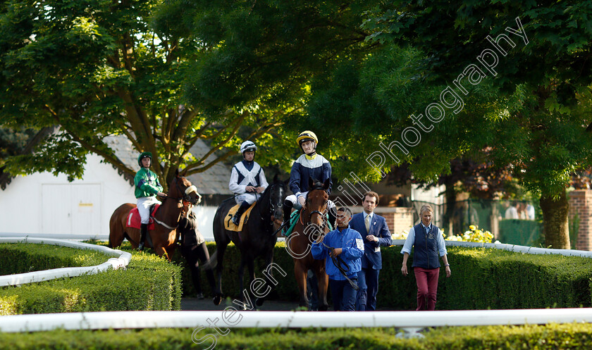 Undercolours-0001 
 UNDERCOLOURS (Daniel Muscutt)
Kempton 22 May 2019 - Pic Steven Cargill / Racingfotos.com