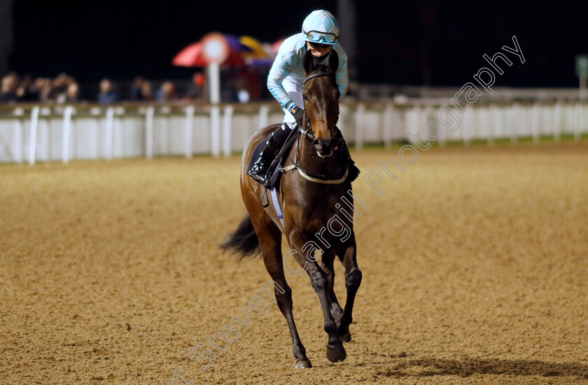 Bintjan-0001 
 BINTJAN (Kieran Shoemark)
Wolverhampton 20 Dec 2024 - Pic Steven Cargill / Racingfotos.com