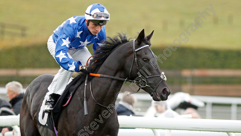 Qarasu-0002 
 QARASU (Jason Watson)
Goodwood 25 Sep 2019 - Pic Steven Cargill / Racingfotos.com