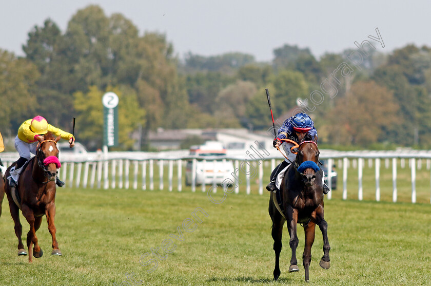 Penalty-0006 
 PENALTY (Thore Hammer-Hansen) wins The 91. Brunner-Oettingen Rennen
Baden Baden 1 Sep 2024 - Pic Steven Cargill / Racingfotos.com