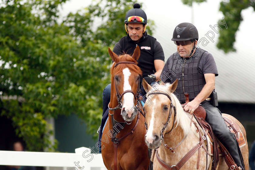 Justify-0004 
 JUSTIFY (Martine Garcia) exercising in preparation for The Belmont Stakes
Belmont Park USA 7 Jun 2018 - Pic Steven Cargill / Racingfotos.com