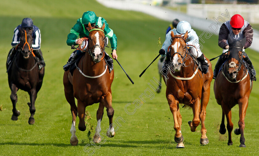 Some-Nightmare-0005 
 SOME NIGHTMARE (left, William Buick) beats UNDER CURFEW (2nd right) in The Inkerman Handicap
Goodwood 22 Sep 2021 - Pic Steven Cargill / Racingfotos.com