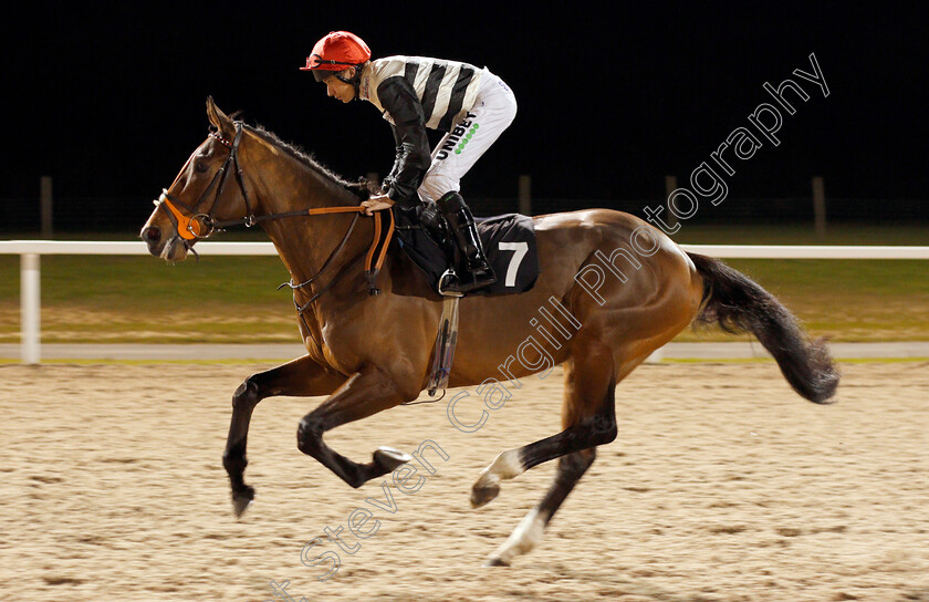 Pleasure-Garden-0001 
 PLEASURE GARDEN (Luke Morris)
Chelmsford 2 Jan 2020 - Pic Steven Cargill / Racingfotos.com