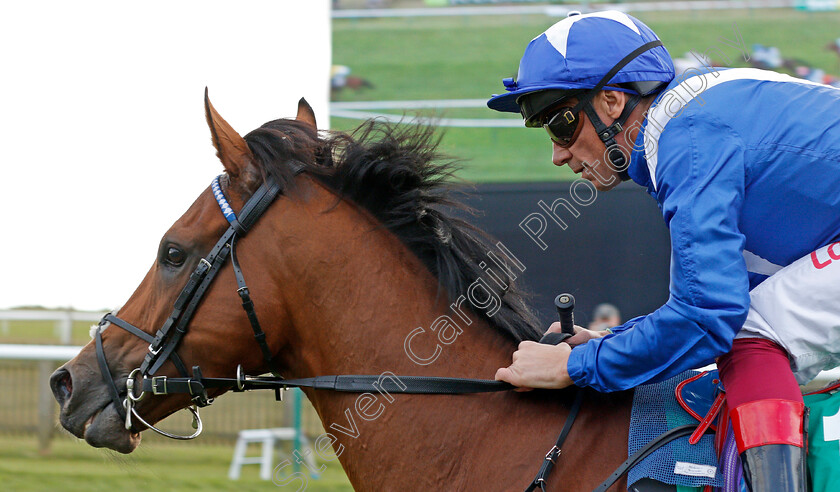 Lord-North-0001 
 LORD NORTH (Frankie Dettori) wins The bet365 Cambridgeshire Handicap
Newmarket 28 Sep 2019 - Pic Steven Cargill / Racingfotos.com