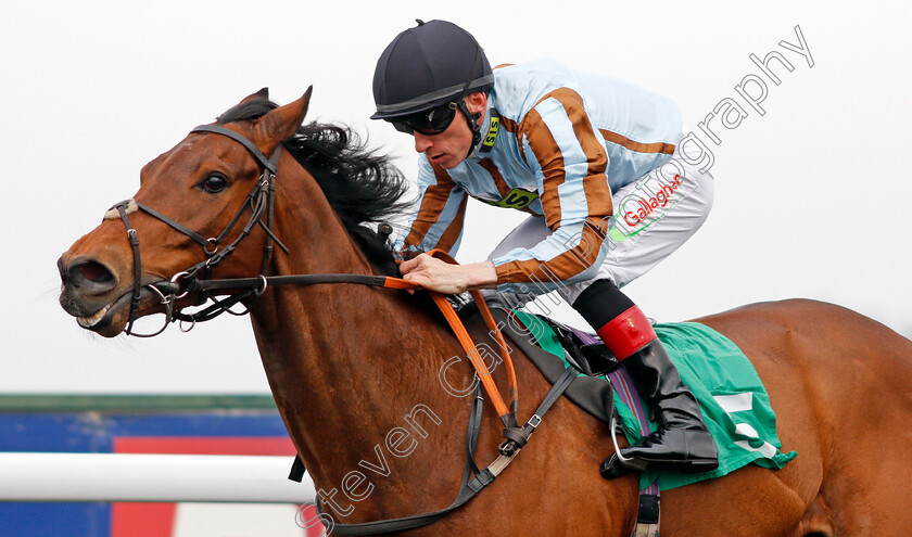 Cayirli-0006 
 CAYIRLI (Shane Kelly) wins The Betfred Watch Sky Sports In Our Shops Queen's Prize Handicap Kempton 7 Apr 2018 - Pic Steven Cargill / Racingfotos.com