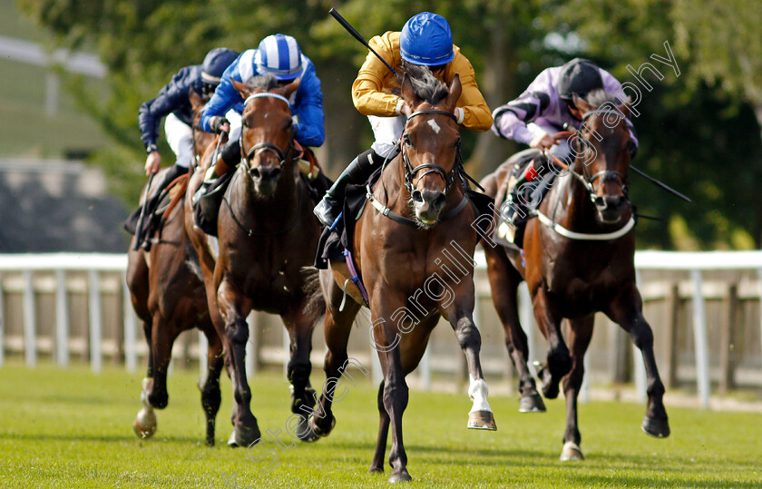 Mark-Of-Respect-0003 
 MARK OF RESPECT (Rossa Ryan) wins The Rich Energy Handicap
Newmarket 25 Jun 2021 - Pic Steven Cargill / Racingfotos.com