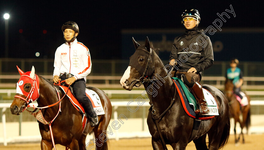 Equinox-and-Panthalassa-0001 
 EQUINOX (right) training for the Sheema Classic PANTHALASSA (left) training for the Dubai World Cup
Meydan, Dubai, 21 Mar 2023 - Pic Steven Cargill / Racingfotos.com