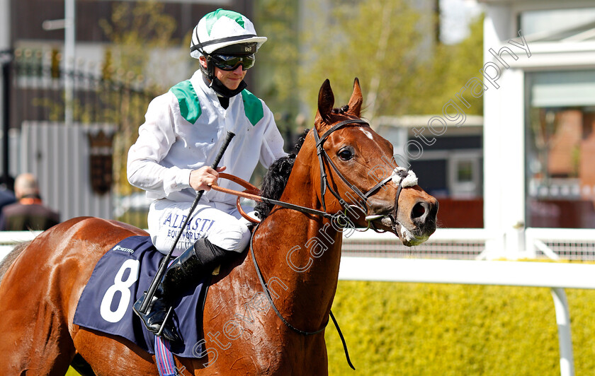 Youth-Spirit-0009 
 YOUTH SPIRIT (Tom Marquand) after The Chester Vase
Chester 5 May 2021 - Pic Steven Cargill / Racingfotos.com