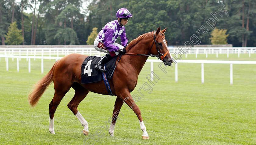 Mums-Tipple-0001 
 MUMS TIPPLE (Oisin Murphy) before The Anders Foundation British EBF Crocker Bulteel Maiden Stakes
Ascot 26 Jul 2019 - Pic Steven Cargill / Racingfotos.com