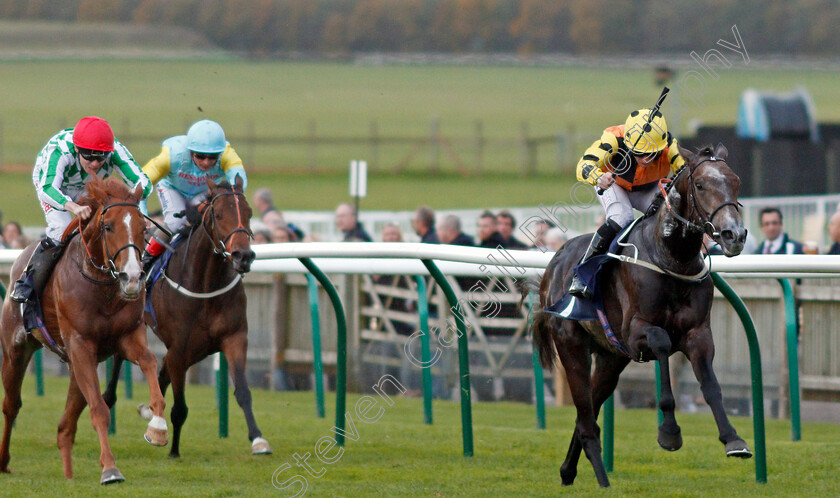 Lynwood-Gold-0001 
 LYNWOOD GOLD (P J McDonald) wins The Cambridge Art Fair Nursery Newmarket 25 Oct 2017 - Pic Steven Cargill / Racingfotos.com