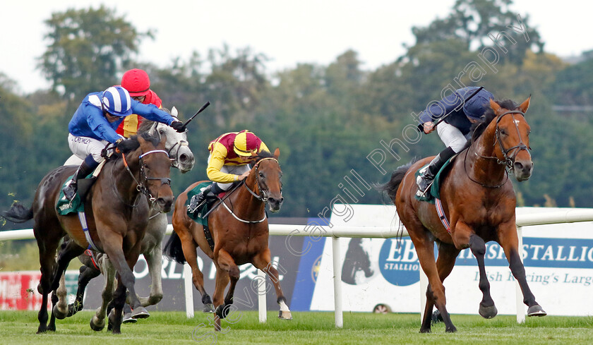 Adelaide-River-0002 
 ADELAIDE RIVER (right, Ryan Moore) beats AL AASY (left) in The Paddy Power Stakes
Leopardstown 9 Sep 2023 - Pic Steven Cargill / Racingfotos.com