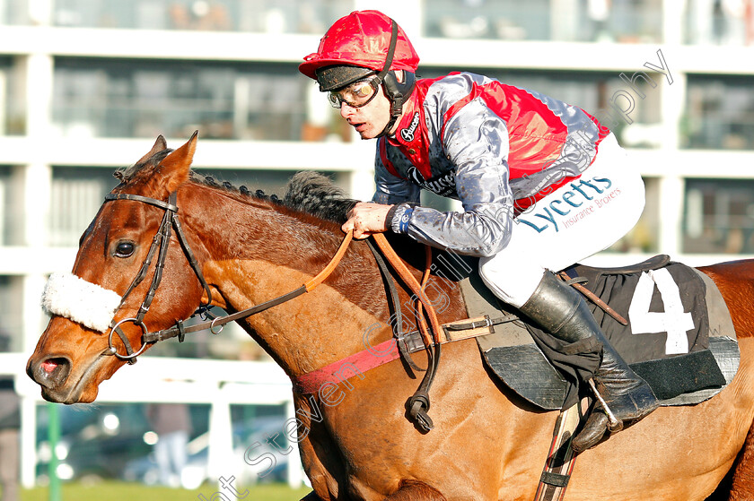 Fanion-D Estruval-0007 
 FANION D'ESTRUVAL (Charlie Deutsch) wins The Ladbrokes Novices Handicap Chase
Newbury 29 Nov 2019 - Pic Steven Cargill / Racingfotos.com