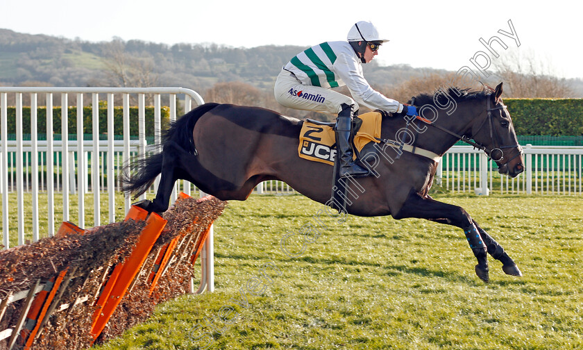 Botox-Has-0001 
 BOTOX HAS (Joshua Moore) wins The JCB Triumph Trial Juvenile Hurdle
Cheltenham 14 Dec 2019 - Pic Steven Cargill / Racingfotos.com