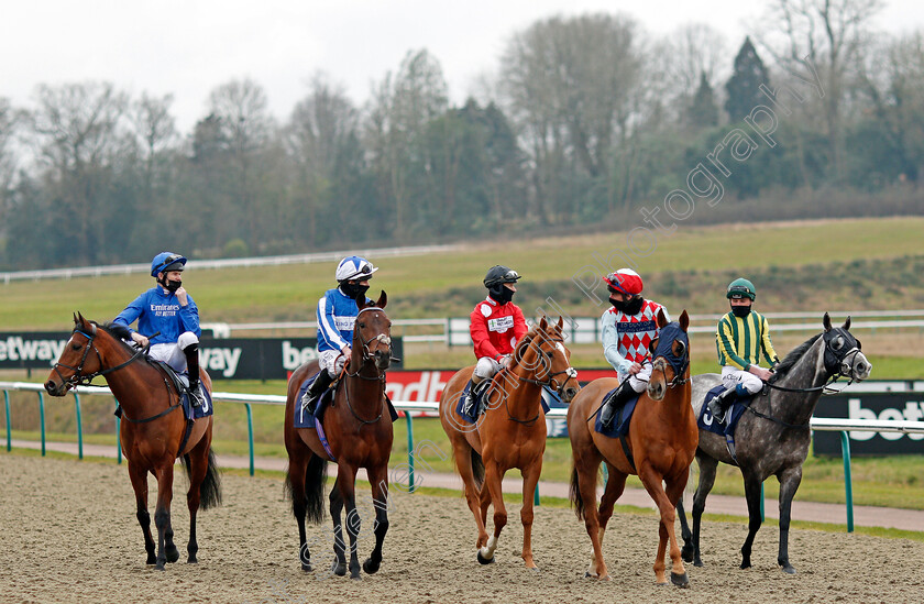 Bangkok-0001 
 BANGKOK (2nd left, Ryan Moore) with FOREST OF DEAN (left) FELIX (centre) RED VERDON (2nd right) and VINTAGER (right) before winning The Betway Winter Derby Trial Stakes
Lingfield 6 Feb 2021 - Pic Steven Cargill / Racingfotos.com