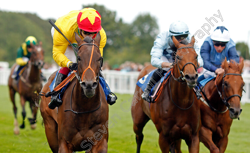 Undertheboardwalk-0006 
 UNDERTHEBOARDWALK (Oisin Murphy) wins The Sorvio Insurance Brokers Novice Stakes Div2
Salisbury 12 Aug 2021 - Pic Steven Cargill / Racingfotos.com