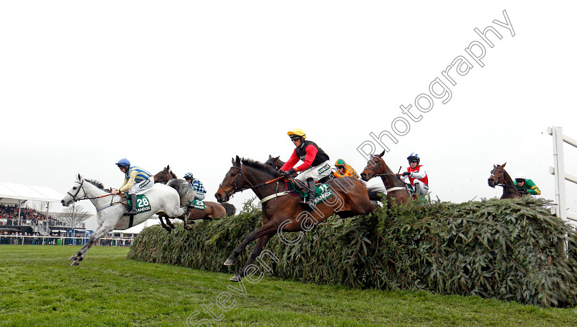 Ultragold-0002 
 ULTRAGOLD (centre, Harry Cobden) jumps with GREYBOUGG (left) on his way to winning The Randox Health Topham Handicap Chase Aintree 13 Apr 2018 - Pic Steven Cargill / Racingfotos.com