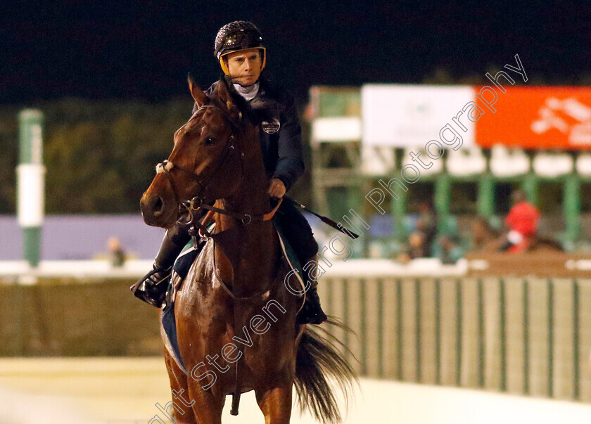 Westover-0001 
 WESTOVER (Ryan Moore) training for the Sheema Classic
Meydan, Dubai, 23 Mar 2023 - Pic Steven Cargill / Racingfotos.com