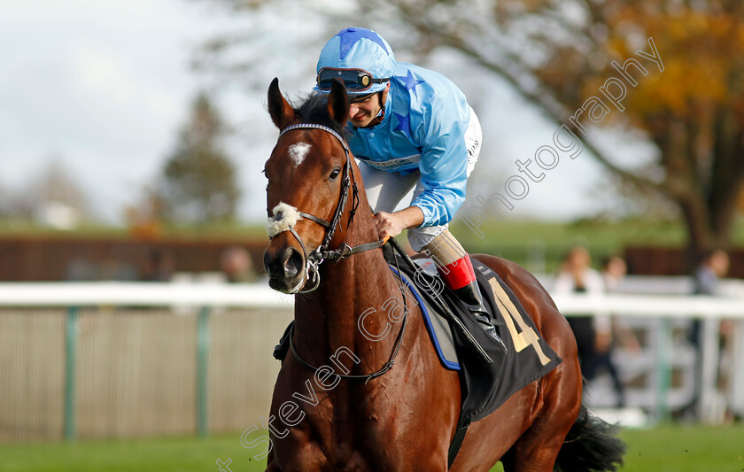 Dream-Pirate-0001 
 DREAM PIRATE (Andrea Atzeni)
Newmarket 28 Oct 2022 - Pic Steven Cargill / Racingfotos.com