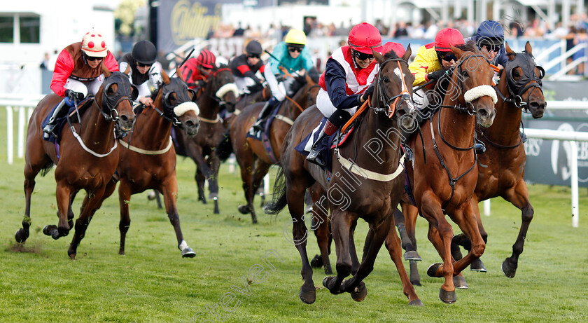 Big-Lachie-0002 
 BIG LACHIE (centre, Jessica Cooley) beats KENNY THE CAPTAIN (right) in The Silk Series Lady Riders Handicap
Doncaster 13 Sep 2018 - Pic Steven Cargill / Racingfotos.com