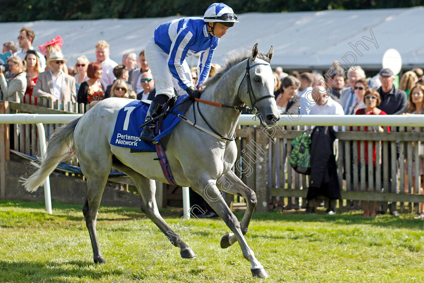 Art-Power-0001 
 ART POWER (David Allan)
Newmarket 15 Jul 2023 - Pic Steven Cargill / Racingfotos.com